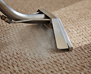 carpet cleaning